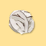 CLASSIC- Organic coconut chips