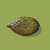 LÖKA - Graines de citrouille au SEL DE MER