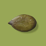 LÖKA - Graines de citrouille au SEL DE MER