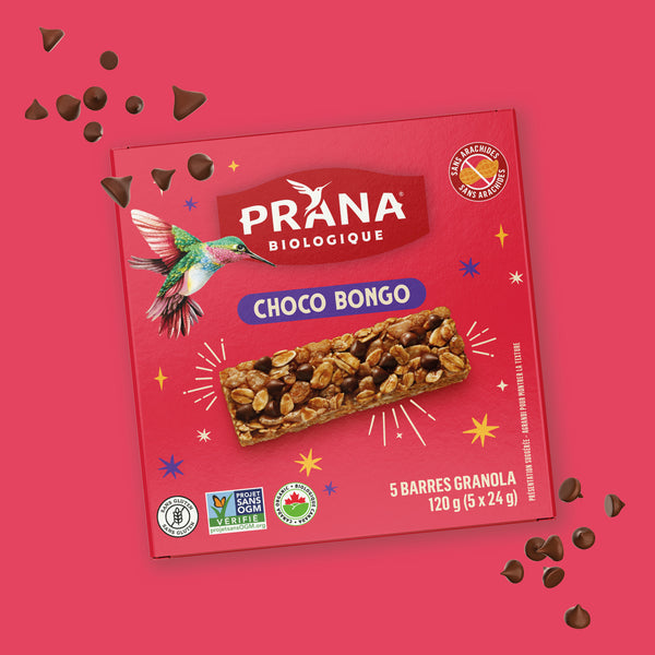 Organic Chewy Granola Bar - Choco Bongo