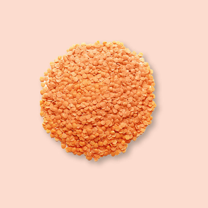 Organic Red Lentils